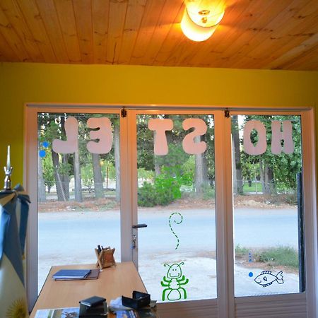 Hostel El Viajante 洛斯安蒂果斯 外观 照片